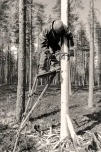 Tervas tarina kuorinta